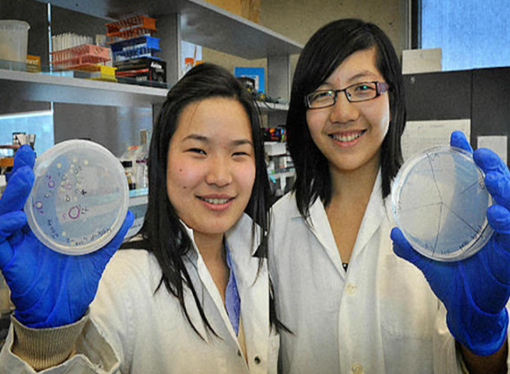 Una bacteria que transforma el plástico en agua. El invento de dos jóvenes científicas para disminuir la contaminación en los océanos