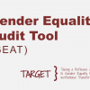 El proyecto TARGET presenta un nuevo instrumento para la auditoría y monitoreo de Igualdad de Género