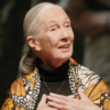 La reconocida primatóloga Jane Goodall comparte un inspirador mensaje para a las niñas que quieren ser científicas