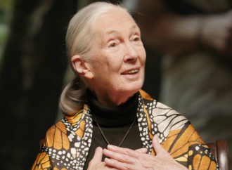 La reconocida primatóloga Jane Goodall comparte un inspirador mensaje para a las niñas que quieren ser científicas