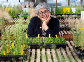 Joanne Chory, luchar contra el cambio climático a través de las plantas