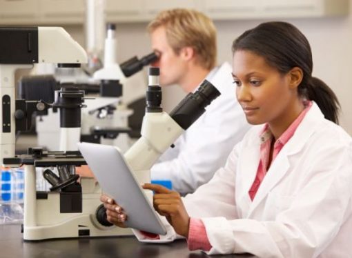 Mujeres científicas: contra la pandemia y el patriarcado