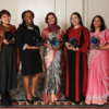 Convocatoria: Premios OWSD – Fundación Elsevier para jóvenes científicas en el mundo en desarrollo